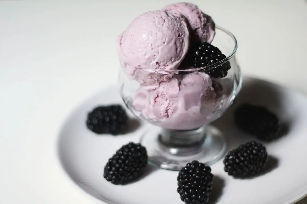 Creamy Blackberry Ice Cream
